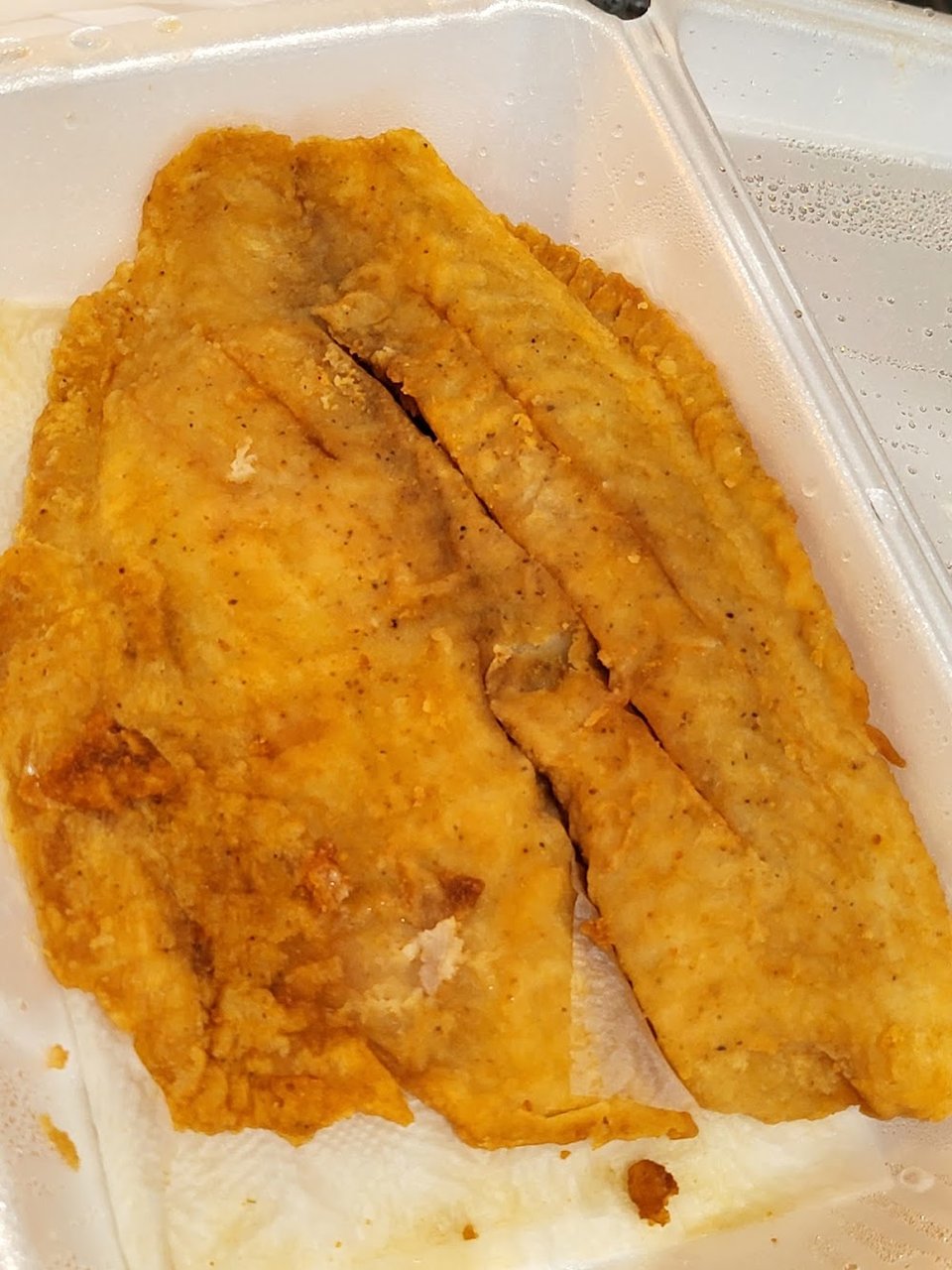 Tilapia
